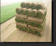 Grading & Sodding